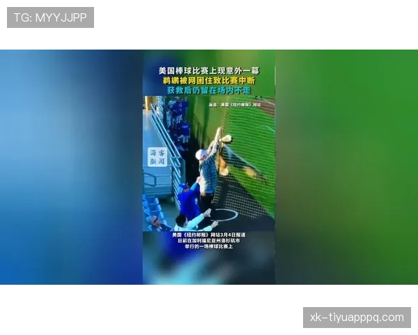 比赛中断后坠球规则拆解：何时适用谁有优先权？